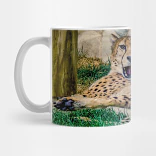 Cheetah surprise Mug